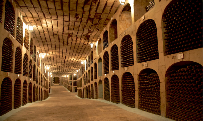 Unlock the Secrets of Wine Storage: From Home Setups to Bonded Warehouses