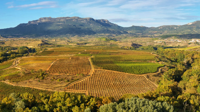 AN INTRODUCTION TO RIOJA