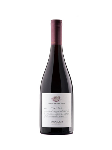 2022 Errazuriz Aconcagua Costa Pinot Noir